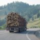 regras para transporte de madeira