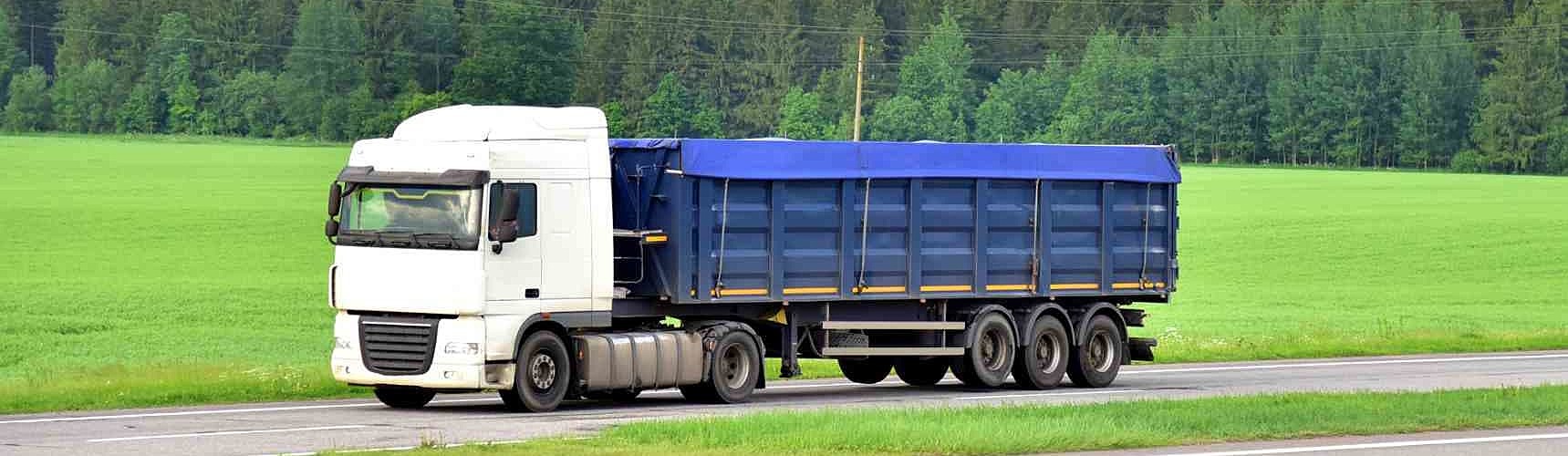 Veículo de carga: um caminhão trafega em uma rodovia
