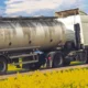 Transporte e logística: caminhão passando em uma plantação
